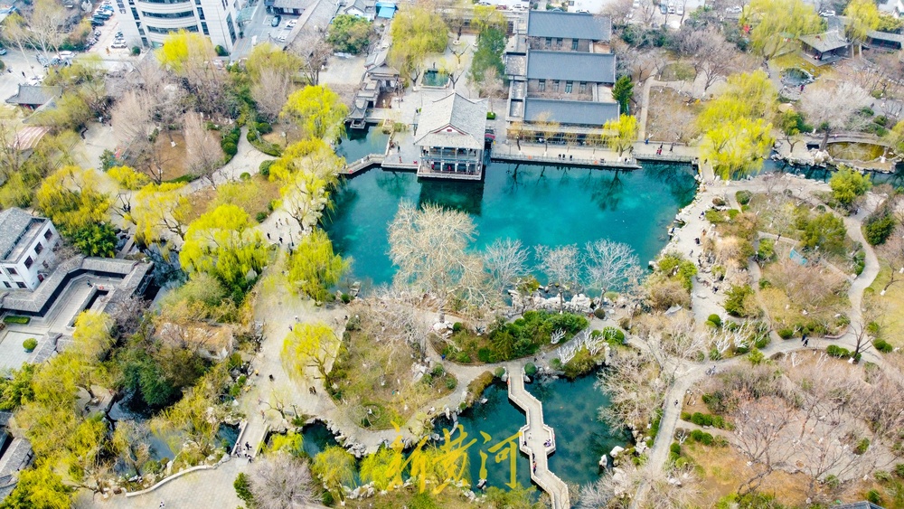 垂柳泛绿与碧水相伴，济南护城河春色渐浓