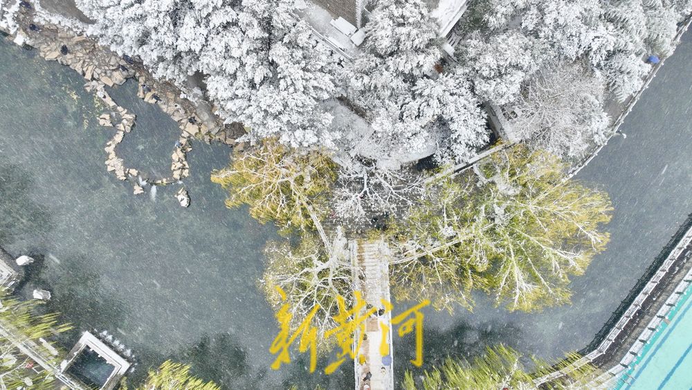 泉城冬雪映碧水，玉柳琼枝入画来