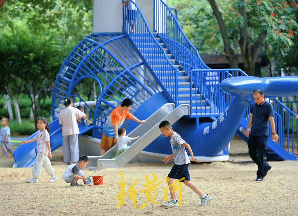 济南森林公园成遛娃宝地，绿荫里藏满清凉与欢笑