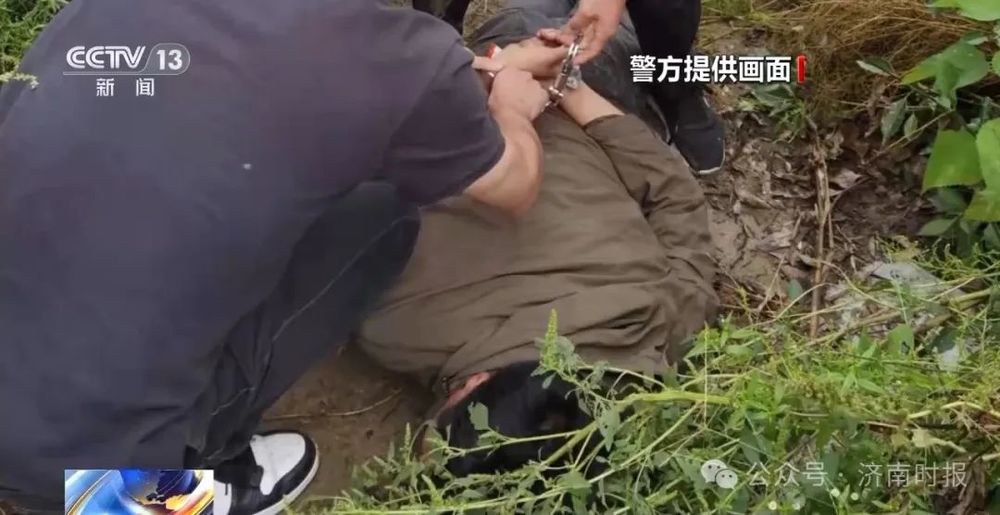 缴获毒品大麻12万克，济南警方侦破一起特大制贩毒品案