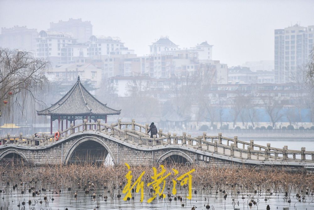 泉城雾色如画，大明湖化身水墨丹青