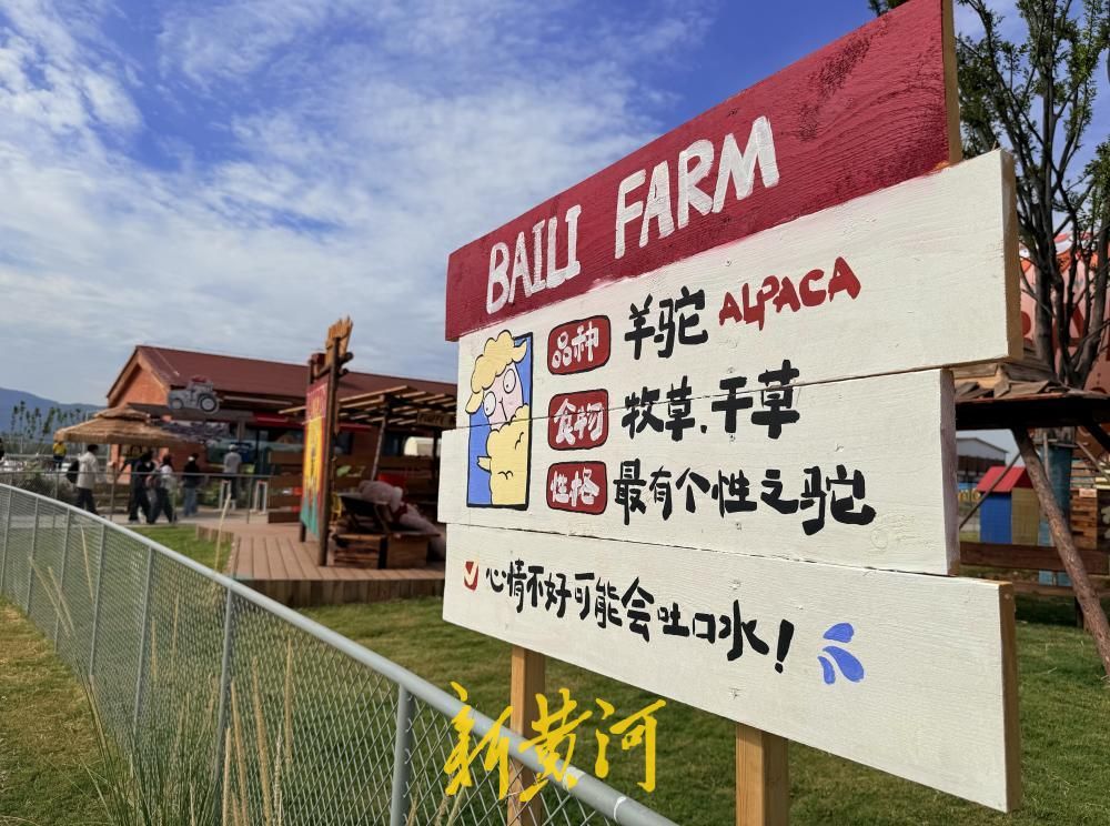 秋日“出逃”计划！济南马山百里农场打造近郊田园微度假新玩法