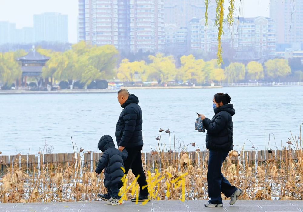 一年四季 泉在济南丨寒潮难挡游湖热情，游客寒风中尽享明湖风光