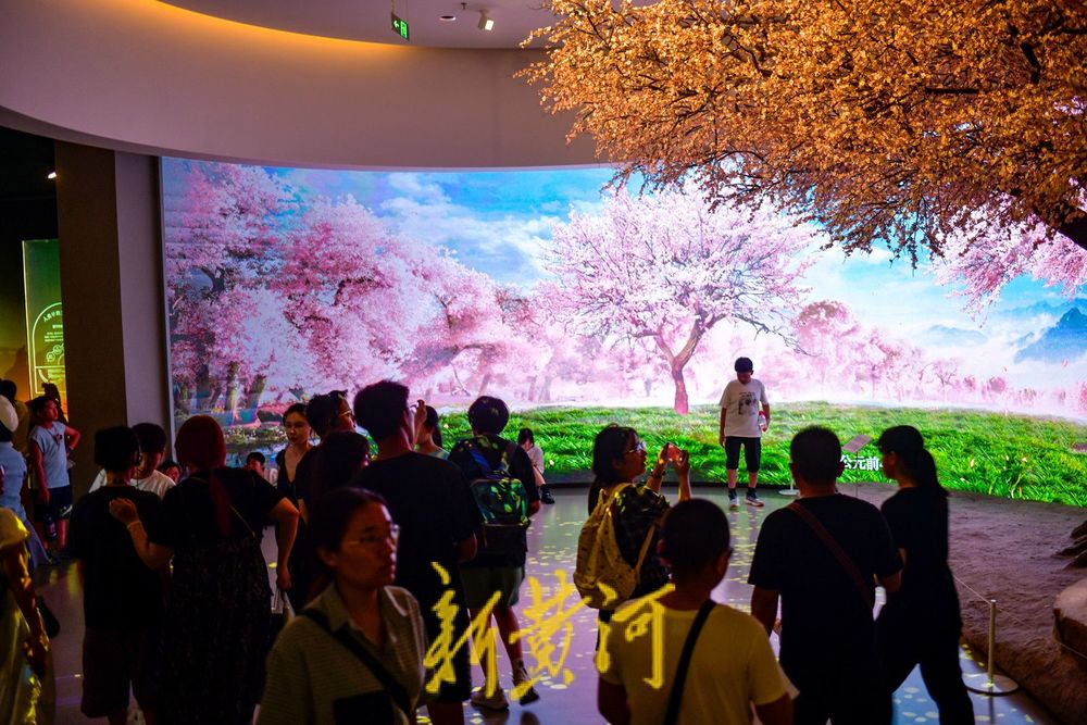 “能玩又能学”！山东博物馆成暑期研学热门 学生组团开启文化游