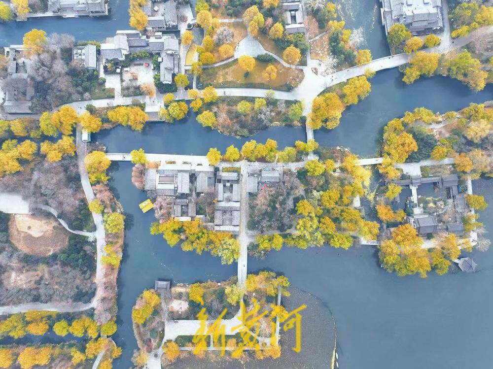 一年四季 泉在济南丨低温下的大明湖，限定版“梦幻童话”正在上演