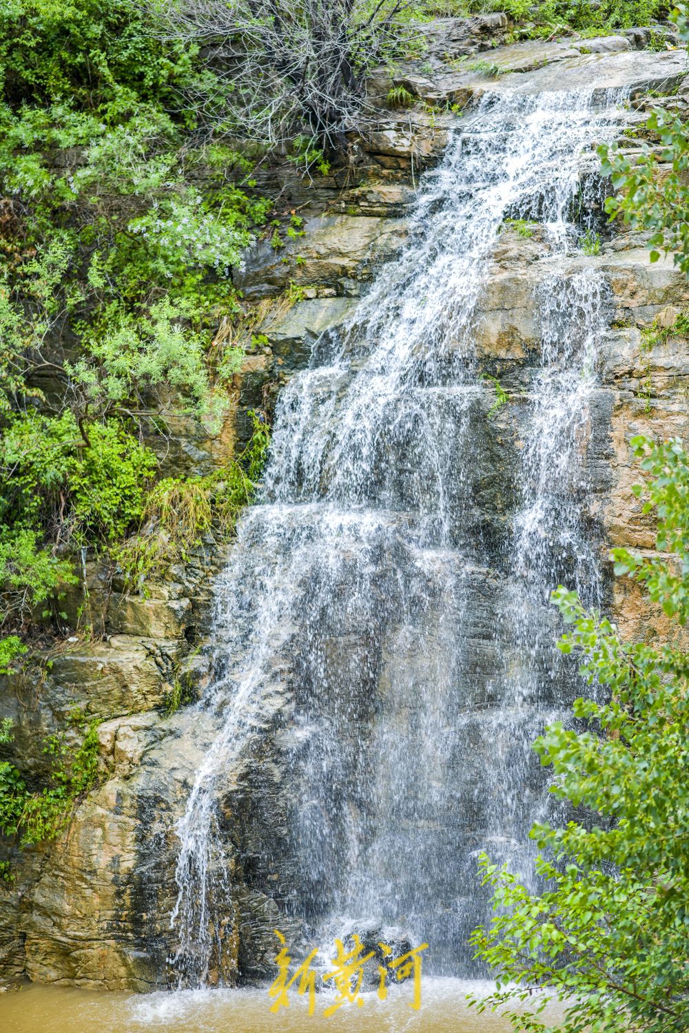 一年四季 泉在济南丨龙洞佛峪沟雨后飞瀑添清凉，市民乐享戏水时光