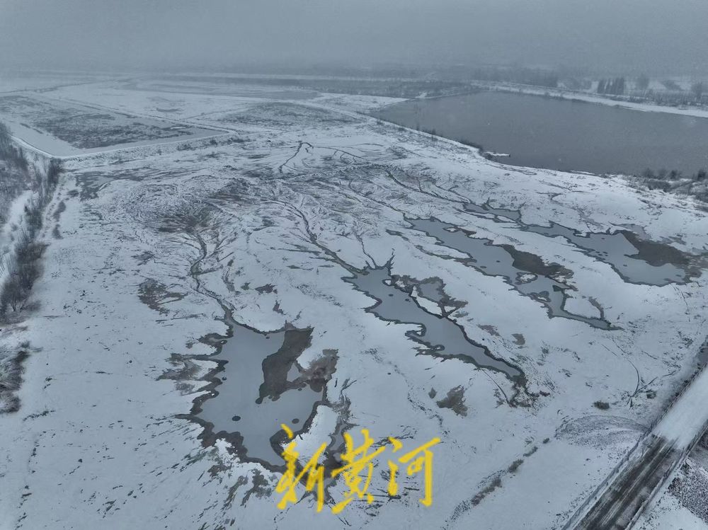 “冰雪潮汐树”现身济南黄河北岸，尽显自然之美