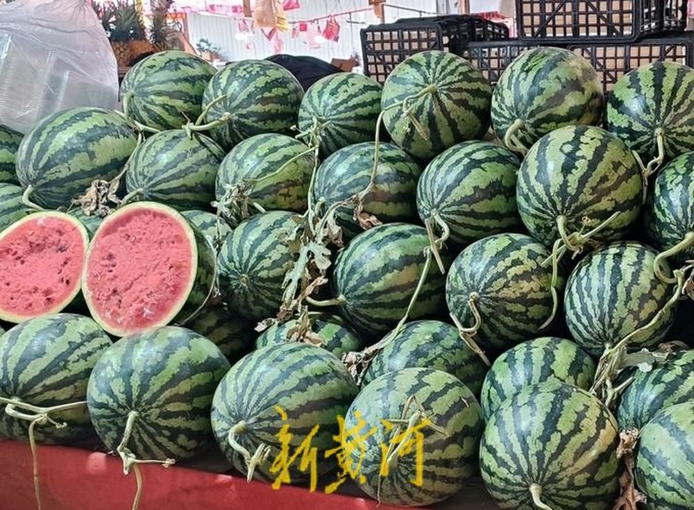 价格亲民 小型西瓜跃升济南夏日水果“C位”
