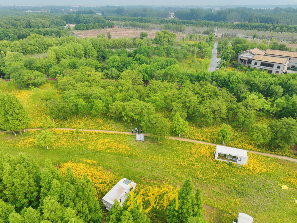 济西湿地初夏美得醉人，谁看了都想去那“洗”肺