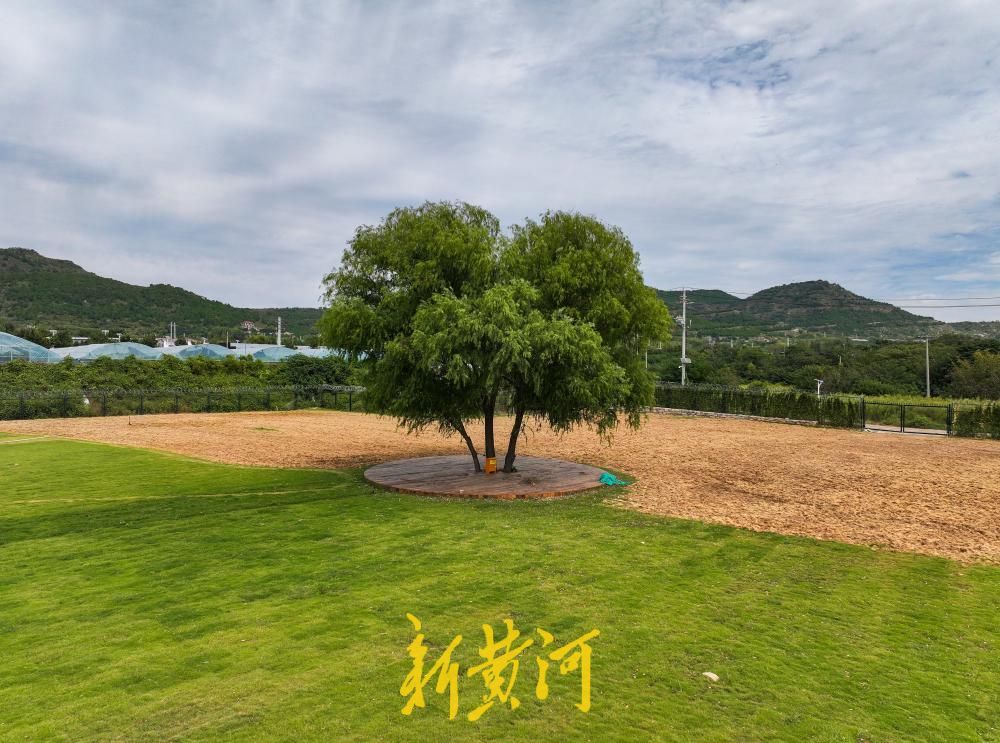 秋日“出逃”计划！济南马山百里农场打造近郊田园微度假新玩法