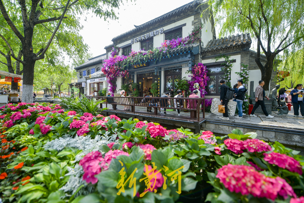 从赏泉游到文创游、簪花游，五一过后济南旅游热度不减