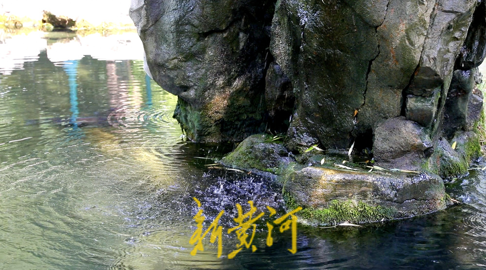 月牙泉“上线”！济南72名泉全部喷涌，进入最佳观赏期