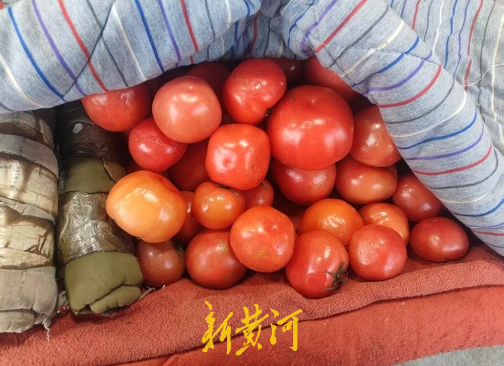两个西红柿“身价”6元！鸡蛋快配不上西红柿了