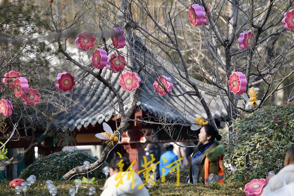 五龙潭迎春花灯启动安装，将化身梦幻光影乐园点亮泉城