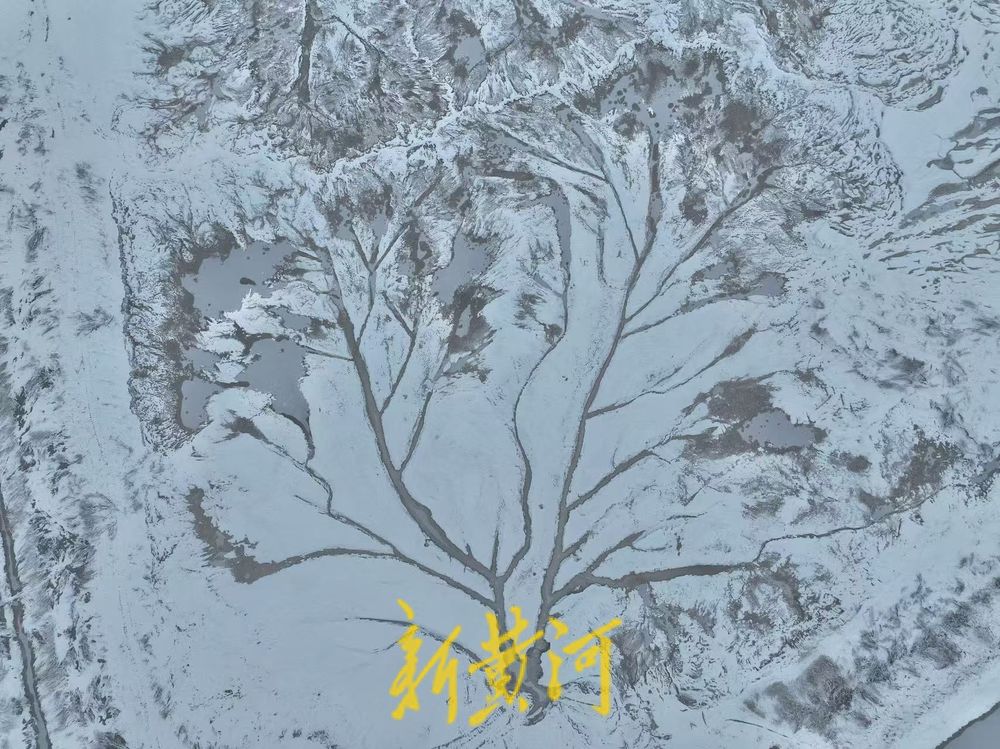 “冰雪潮汐树”现身济南黄河北岸，尽显自然之美