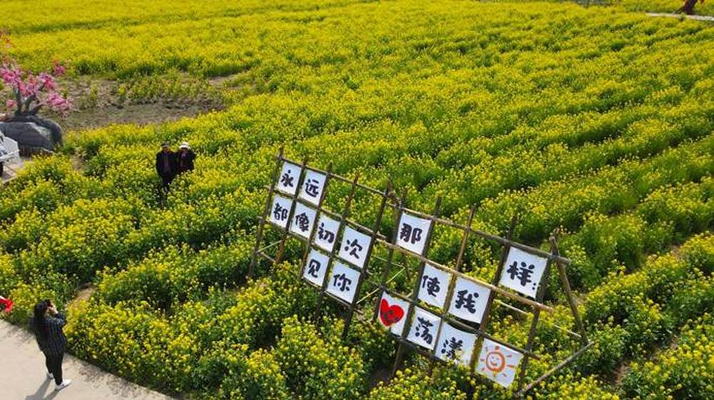 c98d368b817e42a611e985dfa19c2c41