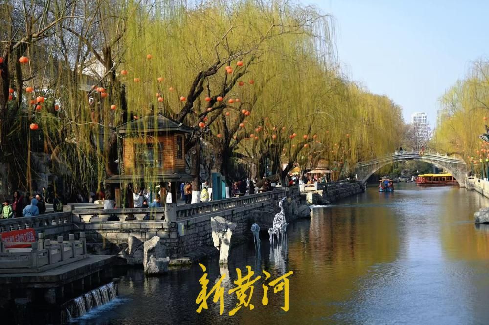 一年四季 泉在济南丨泉城春光好 嫩柳吐新芽