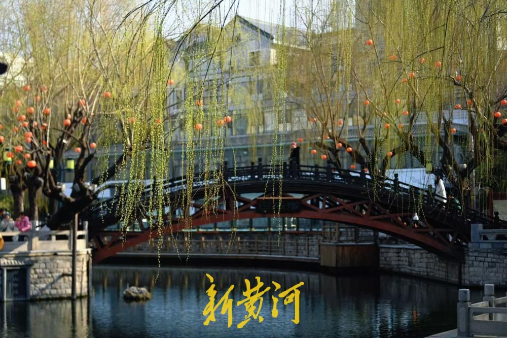 一年四季 泉在济南丨泉城春光好 嫩柳吐新芽