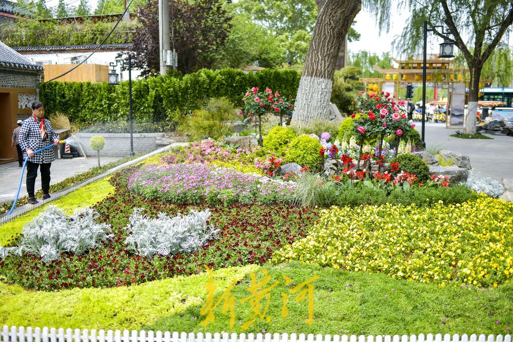 老城街巷里的“莫奈花园” 感受限定版的古城浪漫   