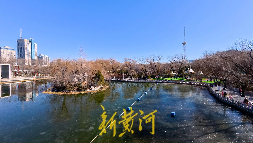三九寒潮来袭，济南映日湖湖面封冻如翡翠