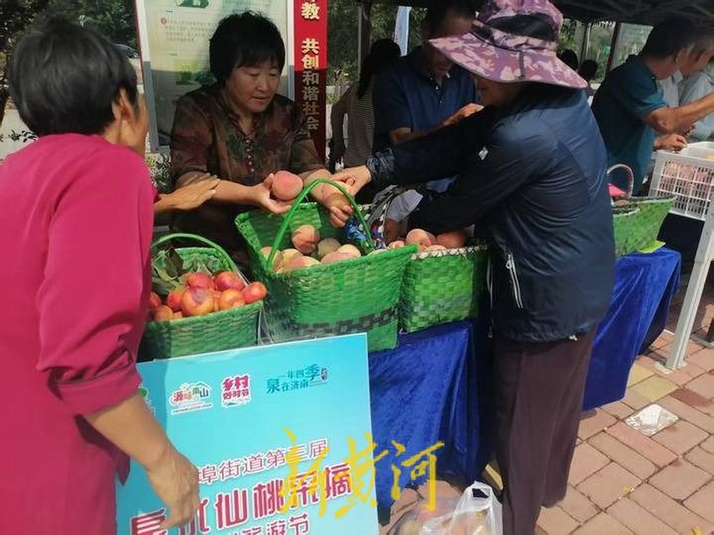 品泉水仙桃,游生态南山!第三届柳埠泉水仙桃采摘文化旅游节今日启动