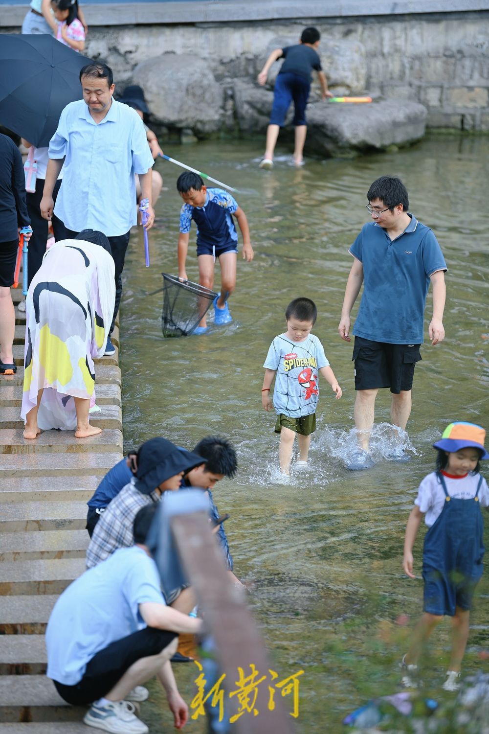 泉城中伏迎高温 济南市民小型湿地里戏水消夏