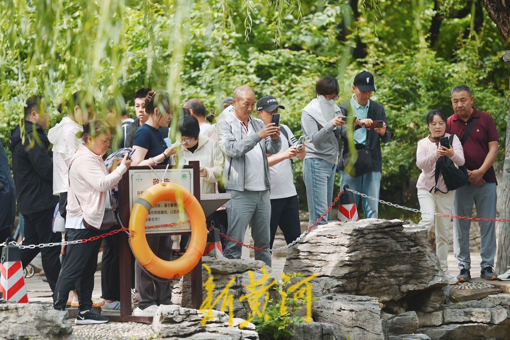 五龙潭泉畔市民享雨后清凉