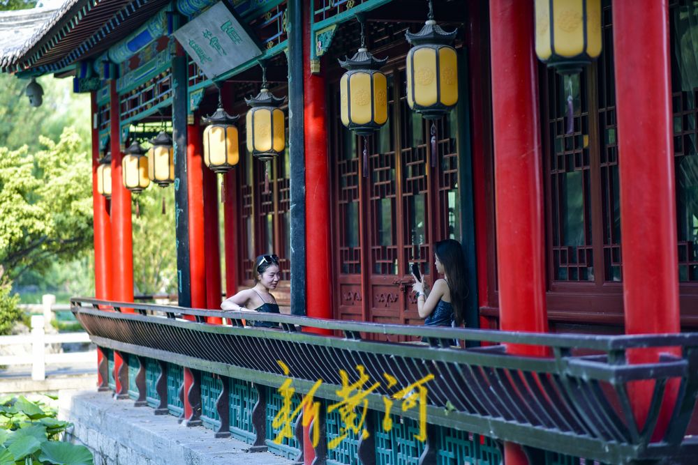 大明湖畔有“凉”方 赏荷打卡品美食  