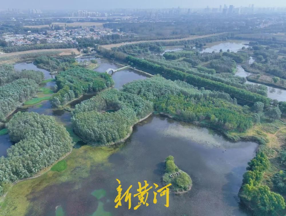 赏秋好去处，济南小清河源头湿地公园美景上线