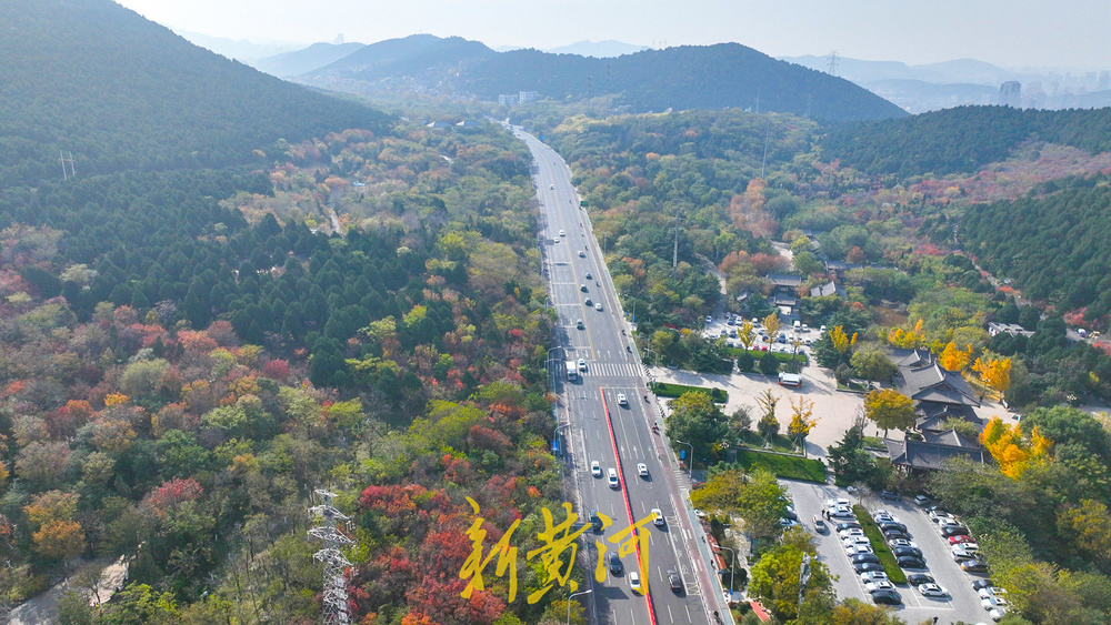 旅游路变身“初冬画廊” 千佛山南麓现层林尽染美景
