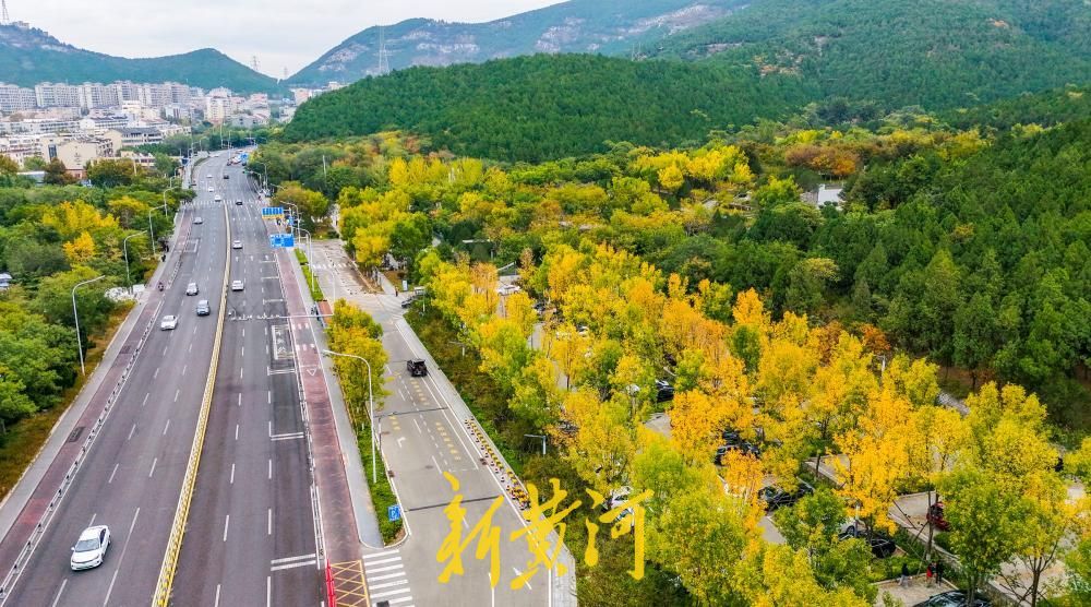 一年四季 泉在济南丨旅游路 “调色盘”上线 济南佛慧山北门层林尽染如诗如画