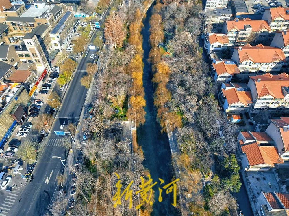 深冬暖如春 泉城护城河畔尽显生机勃勃景象  