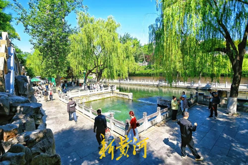 济南泉水迎入夏首涨，“黑虎啸月”引游客流连驻足