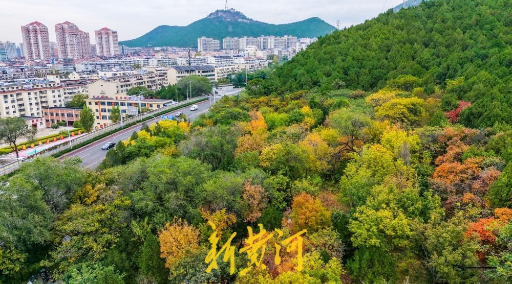 一年四季 泉在济南丨旅游路 “调色盘”上线 济南佛慧山北门层林尽染如诗如画