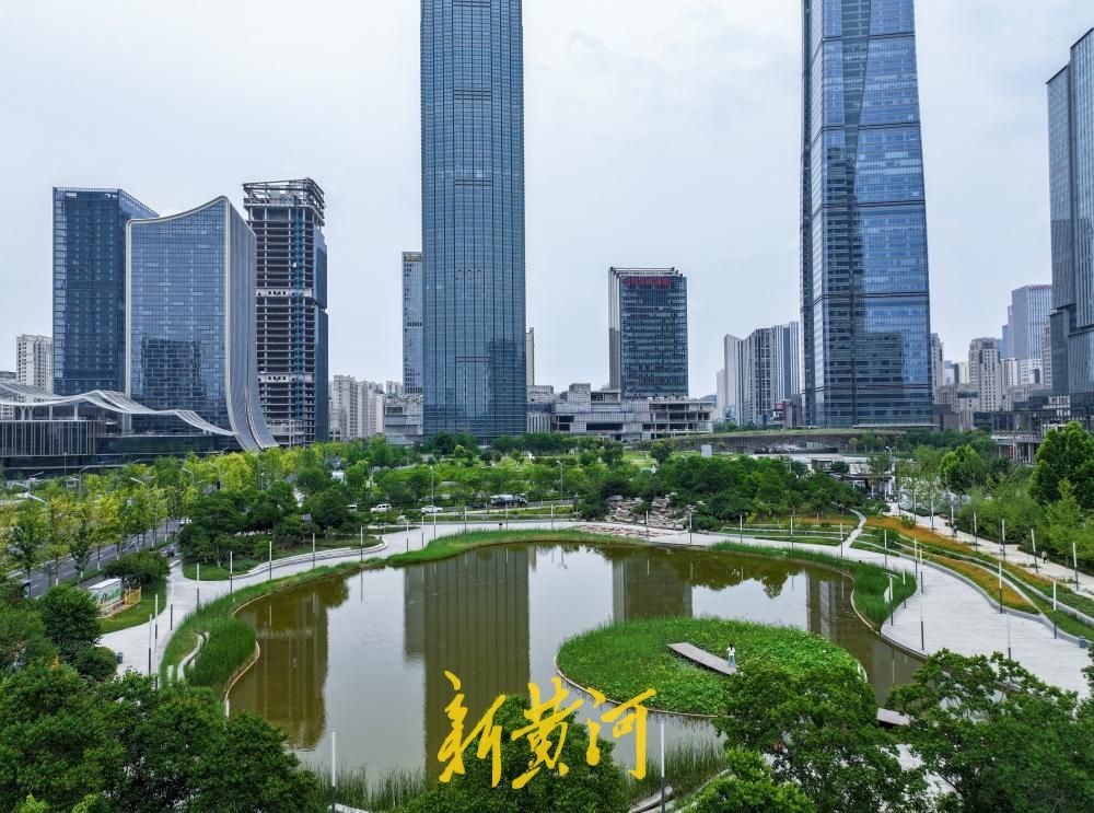 夏至荷韵！济南CBD“五指山”下风景独好