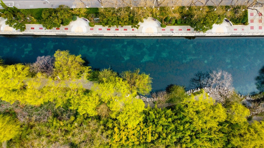垂柳泛绿与碧水相伴，济南护城河春色渐浓