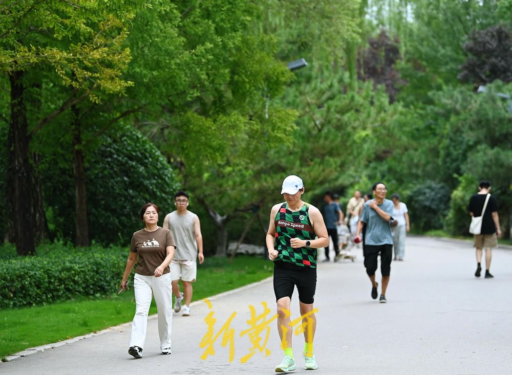 漫步森林公园树荫小道 感受初秋的清凉