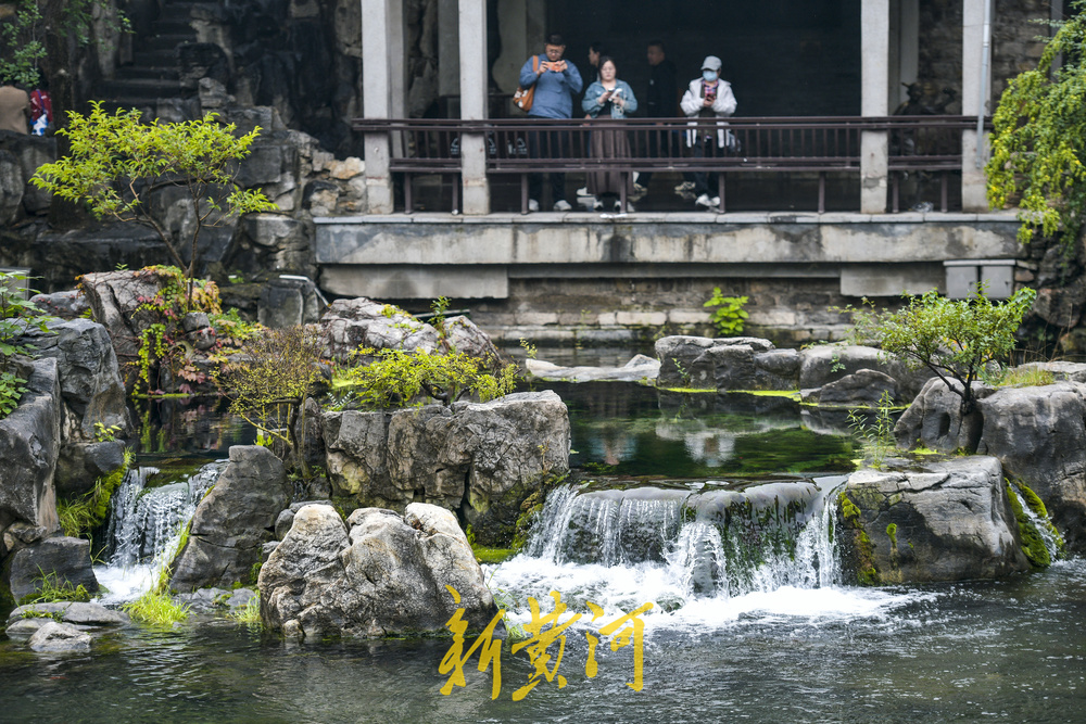 一年四季 泉在济南丨绵绵秋雨补水源 黑虎泉群“泉涌如轮”
