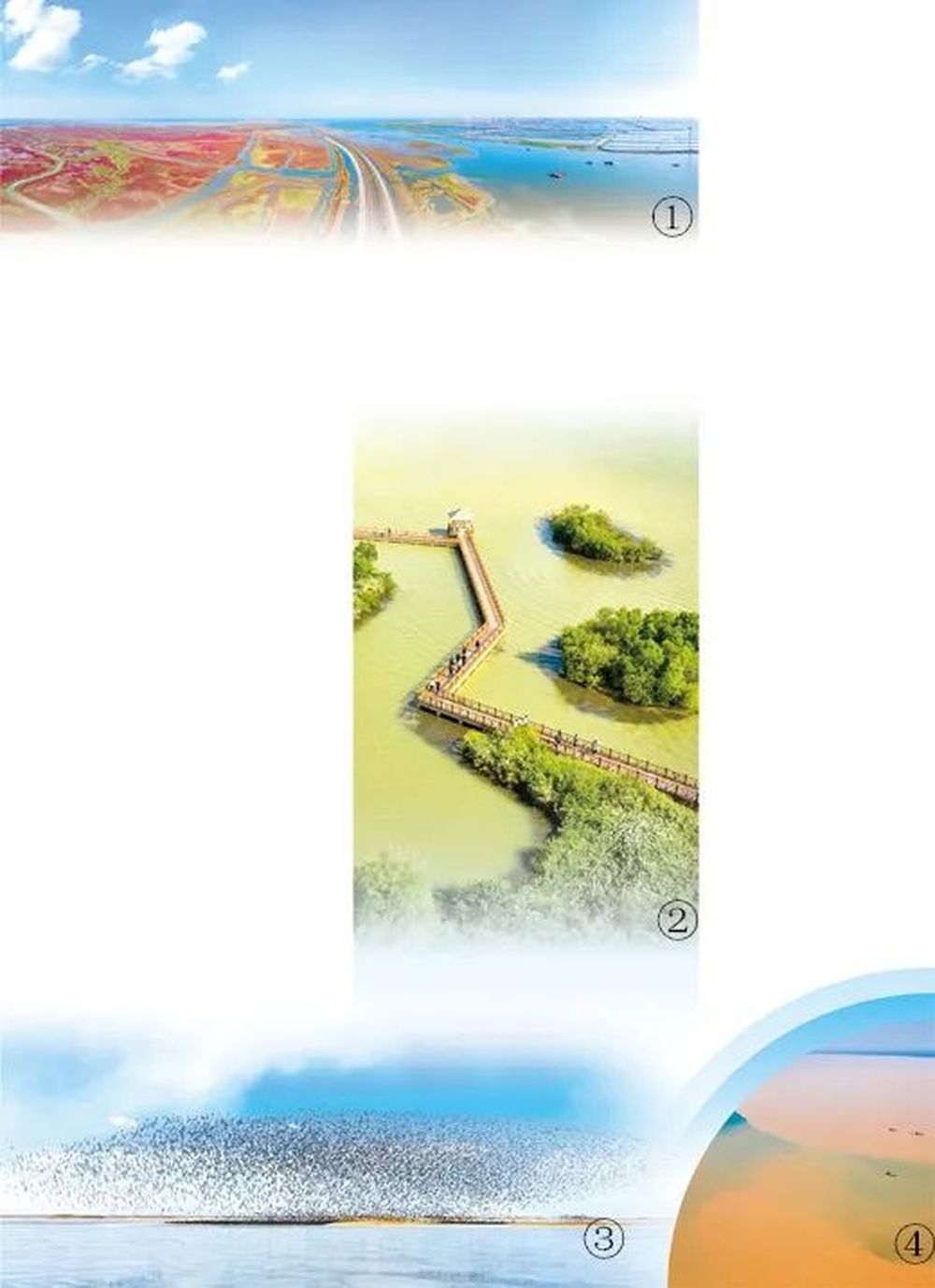 人民日报整版点赞山东东营：探索黄河口湿地修复新模式