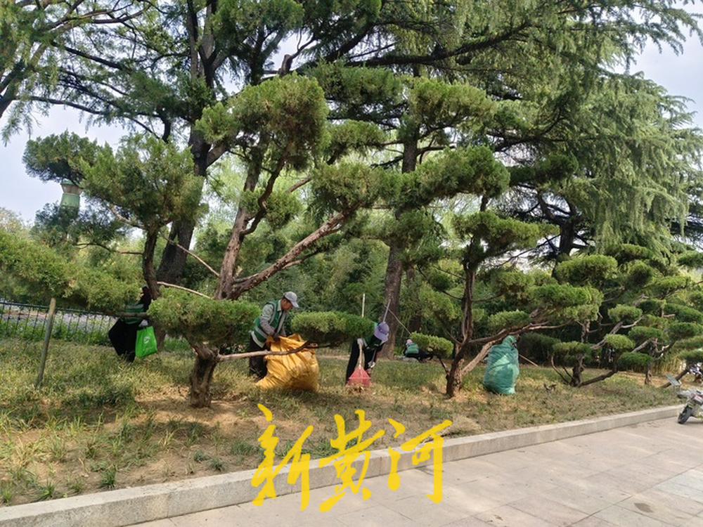 济南紫藤萝瀑布刷屏社交平台，有市民感慨“语文课本照进现实”