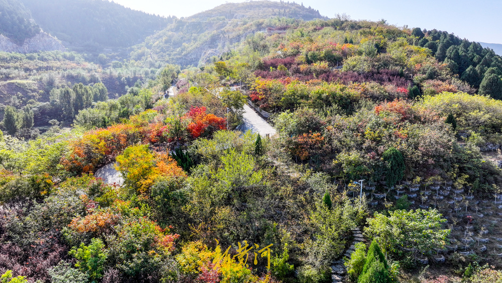 只此青红，山体公园秋色正浓 