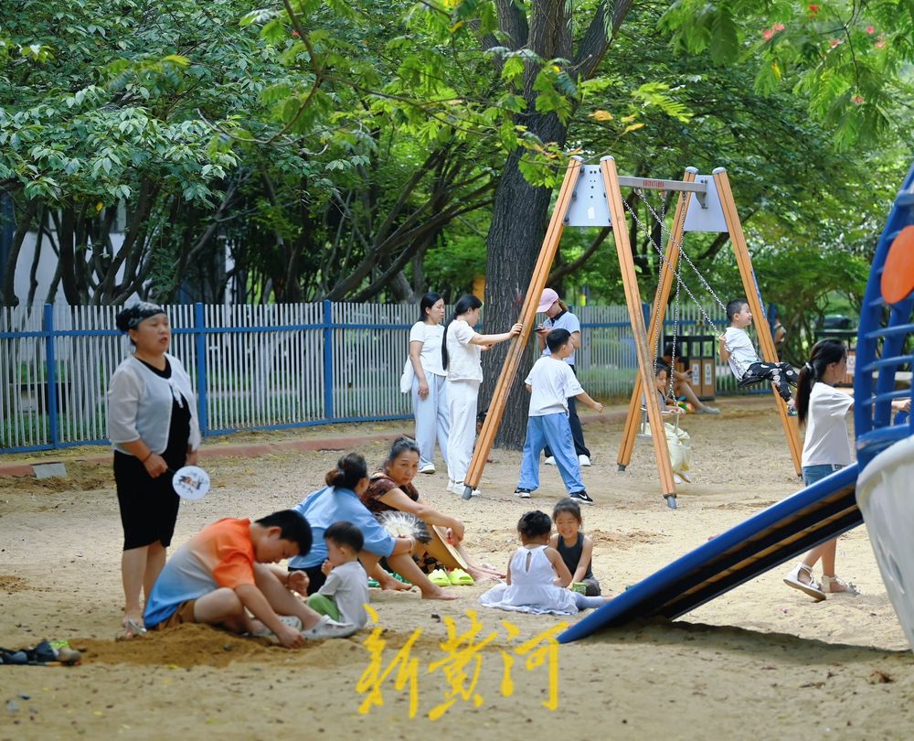 济南森林公园成遛娃宝地，绿荫里藏满清凉与欢笑