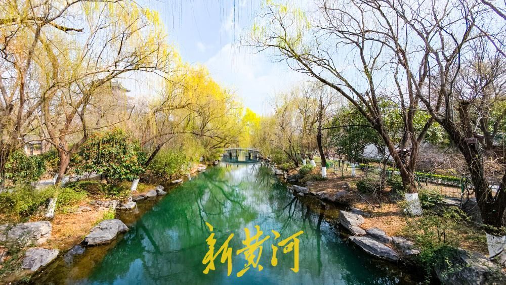 蓝天白云“回归”春意浓，大明湖“碧水翠柳”宛若江南